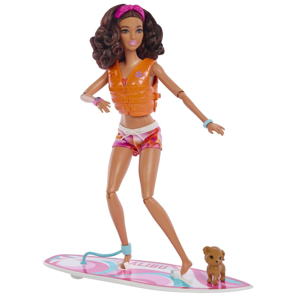 Barbie Ken Surfař S Doplňky - Doll