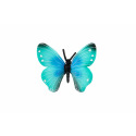 ZOOted Motýľ tropický Morpho Helena zooted plast 7cm v sáčku