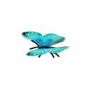 ZOOted Motýľ tropický Morpho Helena zooted plast 7cm v sáčku