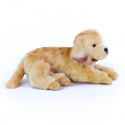 Rappa Golden Retriever pluszowy pies leżący 32 cm ECO-FRIENDLY