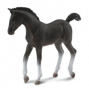 Collecta zvířátka Collecta figurka - Tennessee Walking Horse - hříbě černé