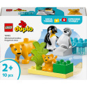 LEGO Duplo 10442 Rodinky divokých zvířat: Tučňáci a lvi