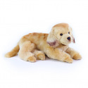 Rappa Golden Retriever pluszowy pies leżący 32 cm ECO-FRIENDLY