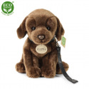 Rappa Pluszowy Labrador 25 cm ECO-FRIENDLY