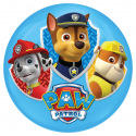 John Míč Paw Patrol 100 mm