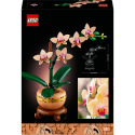 LEGO Botanicals 10343 Miniaturní orchidej