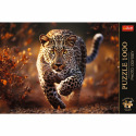 Trefl Puzzle Premium Plus - Photo Odyssey: Wild Leopard 1000 elementów 68,3x48cm w pudełku 40x27x6cm