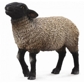 Collecta zvieratá Collecta Suffolk Sheep