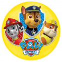 John Míč Paw Patrol 100 mm