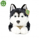 Rappa Pluszowy pies husky 36 cm ECO-FRIENDLY