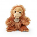 Rappa Plyšový orangutan 18 cm ECO-FRIENDLY