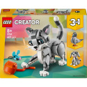 LEGO Creator 3v1 31163 Hravá kočka