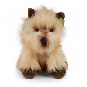 Rappa Pluszowy pies cairn terrier 30 cm PRZYJAZNY DLA ŚRODOWISKA