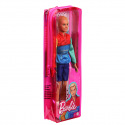 Mattel Barbie MODEL KEN ASST DWK44 různé druhy