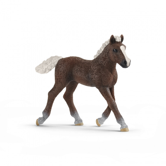 Schleich 13899 Zvířátko - hříbě černé lesní