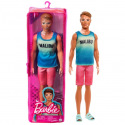 Mattel Barbie MODEL KEN ASST DWK44 různé druhy