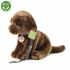 Rappa Pluszowy Labrador 25 cm ECO-FRIENDLY