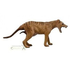 Mac Toys COLLECTA Thylacine (tygr tasmański)-samica