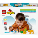 LEGO Duplo 10442 Rodinky divokých zvířat: Tučňáci a lvi