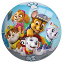 John Míč Paw Patrol 230mm