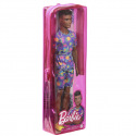 Mattel Barbie MODEL KEN ASST DWK44 různé druhy